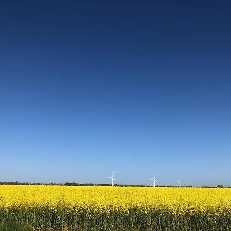 Apartmán Tief 10 Wattwurm Schillig