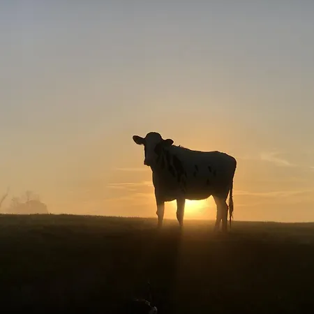 Tief 10 Wattwurm Apartmán