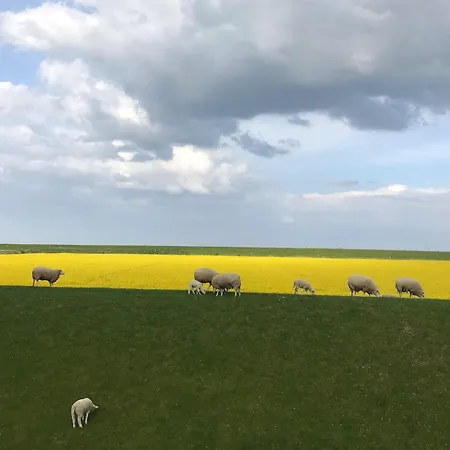 Tief 10 Wattwurm * Schillig