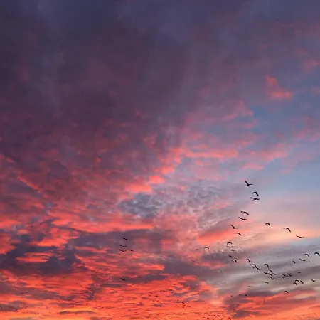 Tief 10 Wattwurm * Schillig