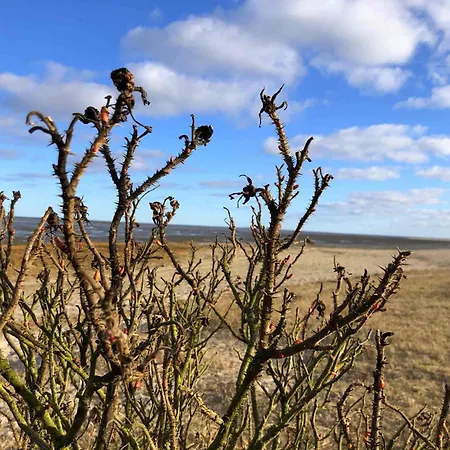 Tief 10 Wattwurm Schillig