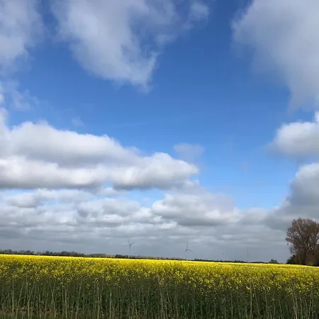 Tief 10 Wattwurm Daire