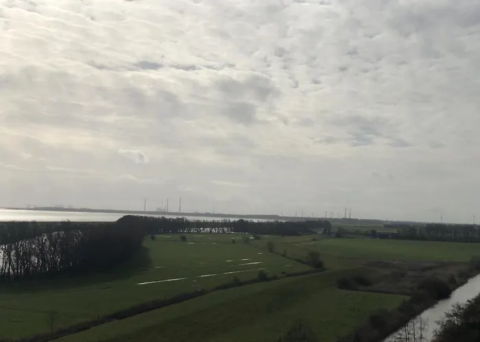 Daire Tief 10 Wattwurm