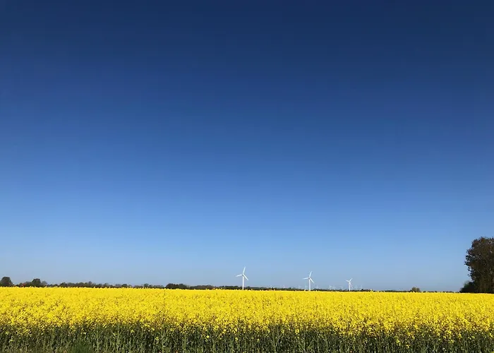 Daire Tief 10 Wattwurm Schillig