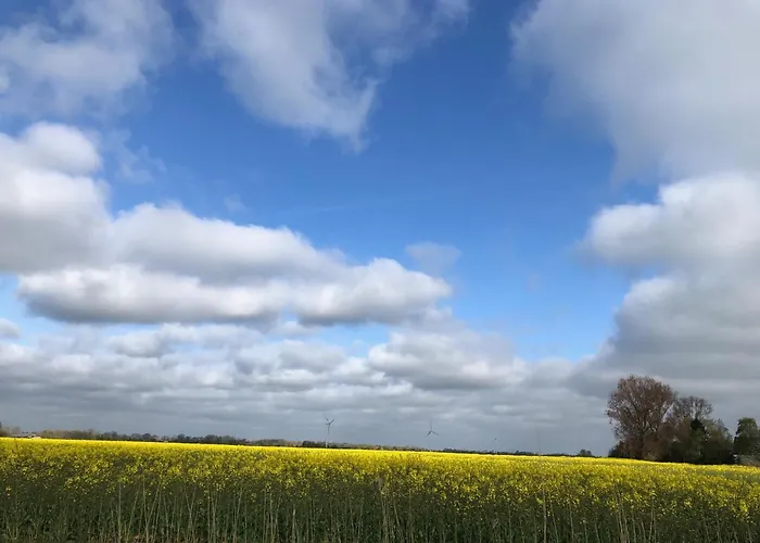 Daire Tief 10 Wattwurm *