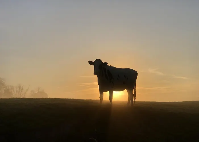 Tief 10 Wattwurm Appartamento