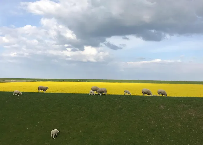 Tief 10 Wattwurm * Schillig