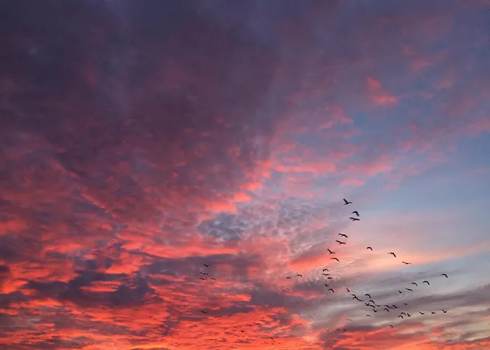 Tief 10 Wattwurm * Schillig