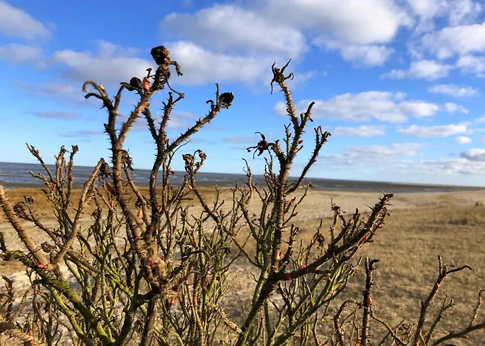 Tief 10 Wattwurm Schillig